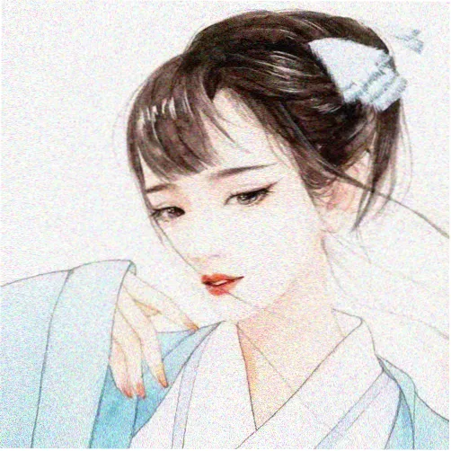 鲨鱼向导